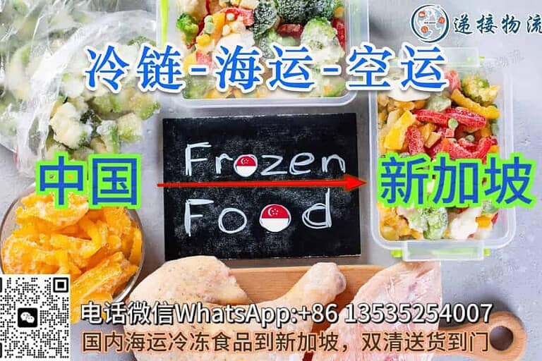帮我查找有提供从中国到新加坡冷链运输的集运商-djcargo