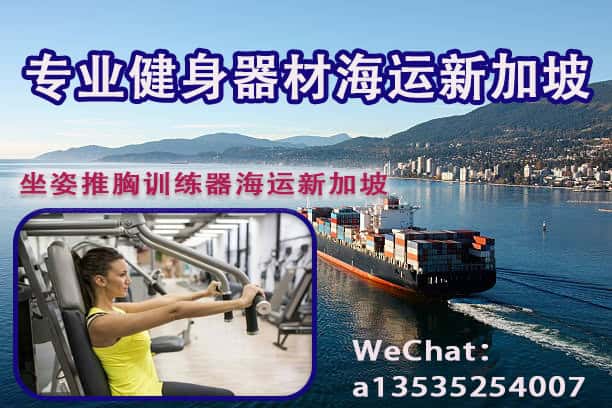 健身器材海运新加坡——坐姿推胸训练器