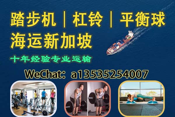 踏步机｜杠铃｜平衡球海运新加坡——健身器材专业运输