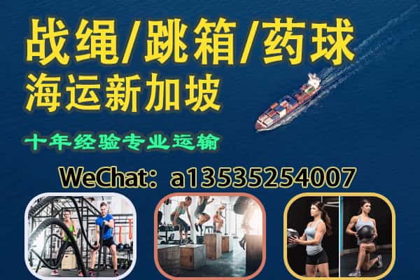 中国发战绳、跳箱、药球海运到新加坡