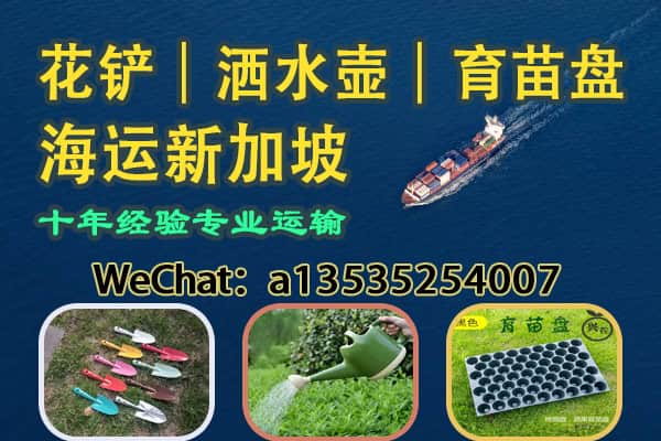 花铲｜洒水壶｜育苗盘 海运发往新加坡