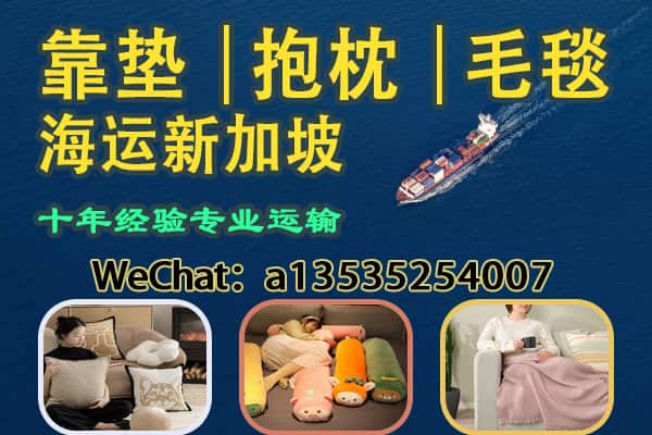 靠垫｜抱枕｜毛毯海运新加坡