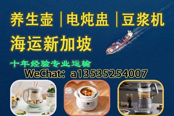 养生壶、电炖盅、豆浆机整柜/拼箱海运新加坡｜小家电出口运输服务