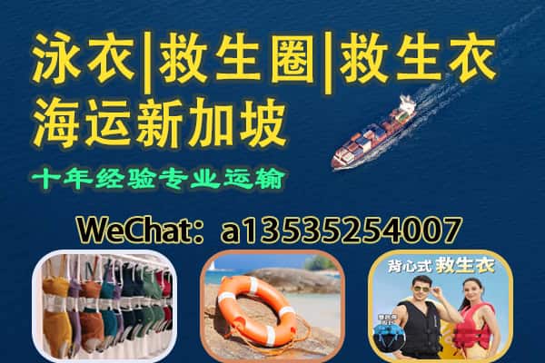 水上用品海运新加坡｜泳衣 / 救生圈 / 救生衣 双清到门服务