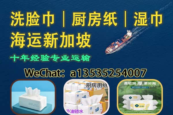 家庭/餐饮常用纸品｜洗脸巾・厨房纸・湿巾 海运新加坡