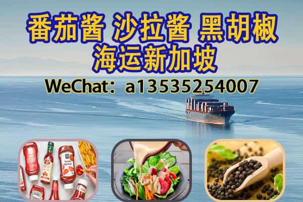 调味品出口新加坡｜番茄酱、沙拉酱、黑胡椒等海运直达