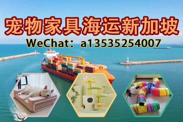 海运宠物家具到新加坡 | 宠物床、猫爬架、宠物隧道双清到门服务