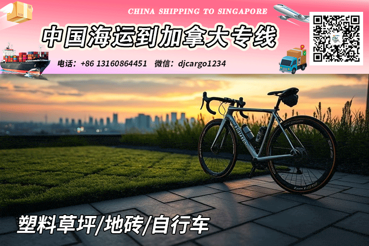 塑料草坪海运到加拿大