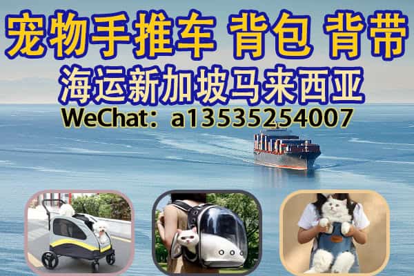宠物用品海运新加坡马来西亚