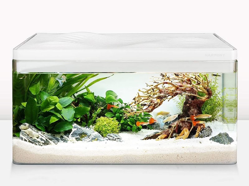 fish tank