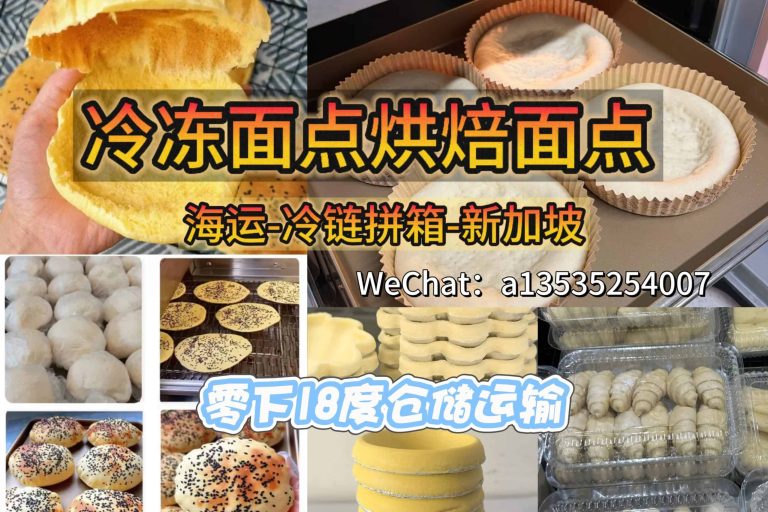 冷冻面包坯、汉堡胚、披萨底、蛋挞皮负18度海运新加坡｜专业冷链运输