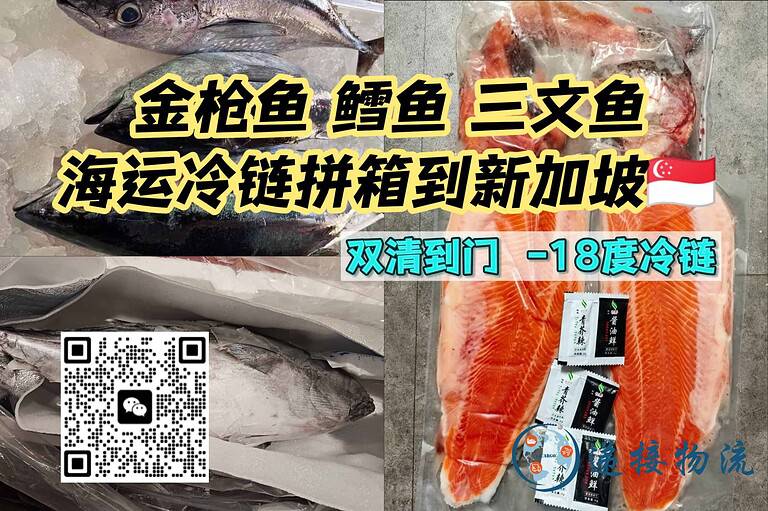 7.17xjp 中国到新加坡冷链物流|金枪鱼、鳕鱼、三文鱼运输服务推荐