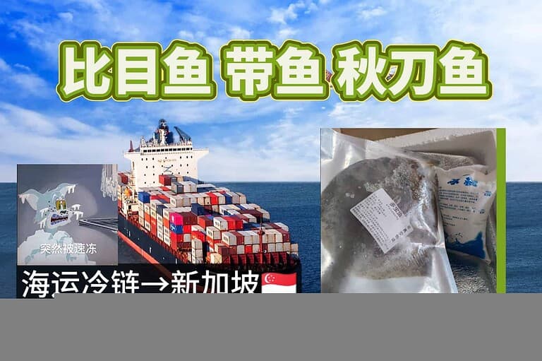 7.17xjpll 【比目鱼、带鱼、秋刀鱼】出口新加坡首选:专业冷链海运服务