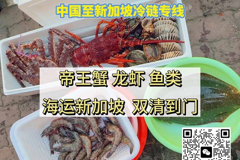 7.23xjpll 中国海鲜海运新加坡|帝王蟹、龙虾、海参海胆及素食类一站式冷链运输