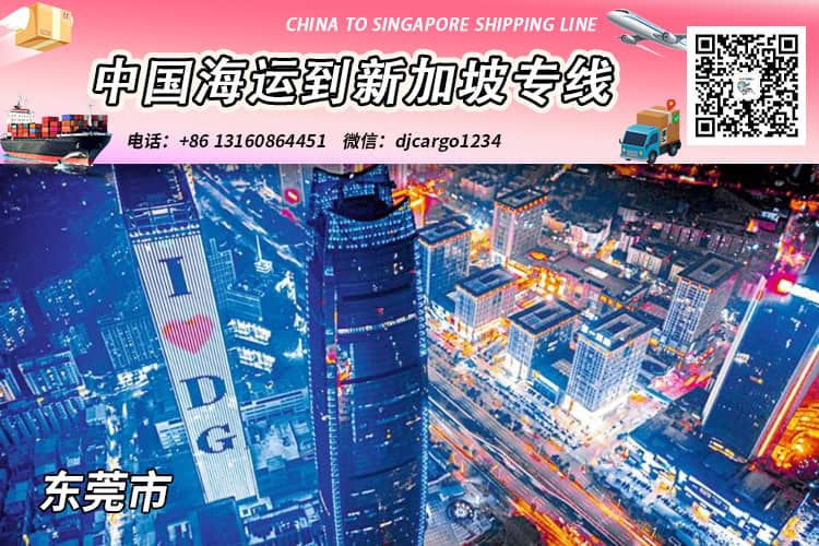 东莞海运整柜到新加坡清关派送,帮代付人民币货款服务 东莞海运整柜到新加坡清关派送,帮代付人民币货款服务