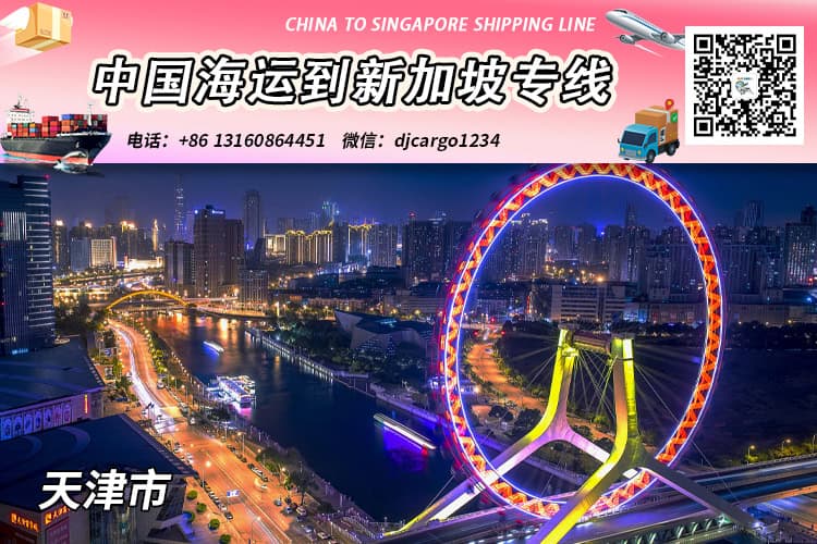 天津海运20GP/40HQ整柜到新加坡清关、拆柜、派送 天津海运20GP/40HQ整柜到新加坡清关、拆柜、派送