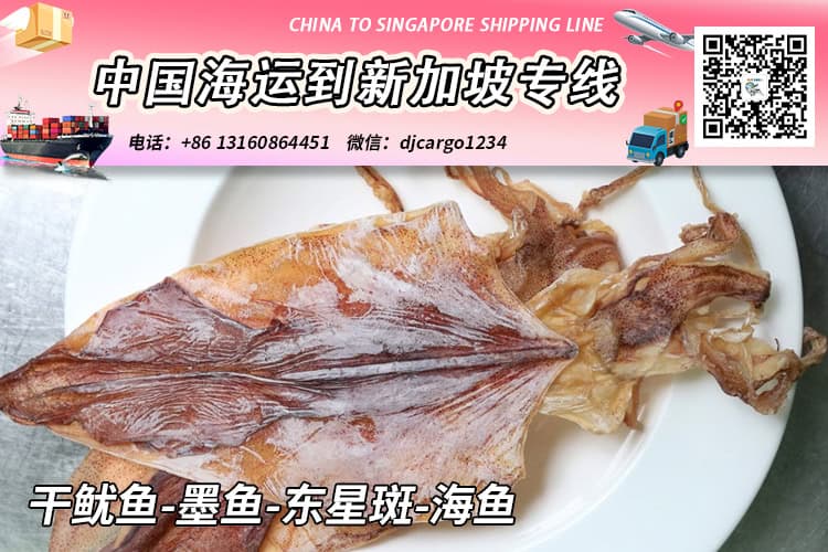 干鱿鱼-墨鱼-东星斑-海鱼冷链整柜拼箱海运到新加坡 干鱿鱼-墨鱼-东星斑-海鱼冷链整柜拼箱海运到新加坡