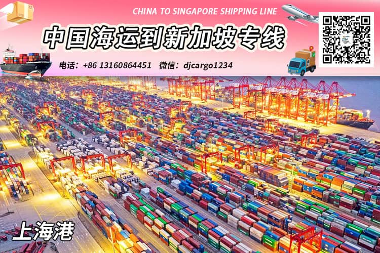上海-天津-青岛海运整柜到新加坡双清关派送到门→小詹 上海-天津-青岛海运整柜到新加坡双清关派送到门→小詹