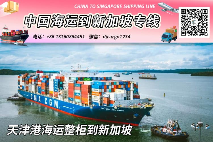 天津海运到新加坡-天津海运整柜到新加坡专线-递接物流 天津海运到新加坡-天津海运整柜到新加坡专线-递接物流