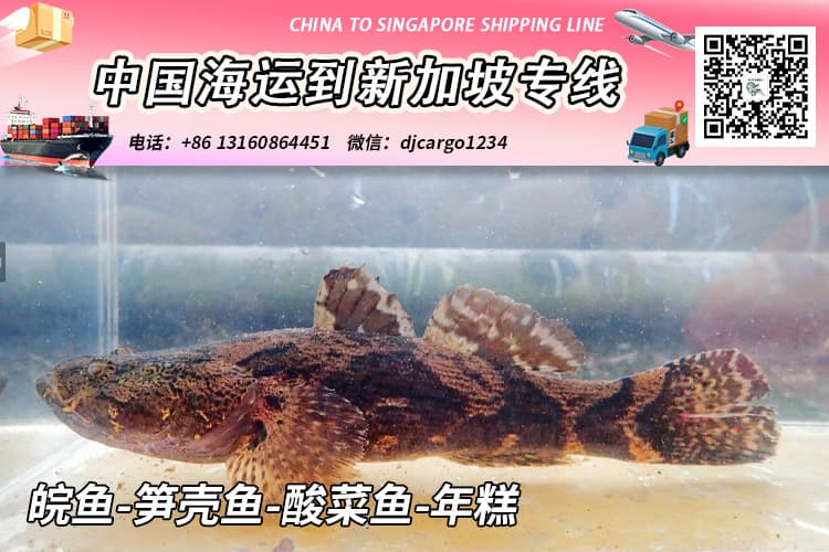 皖鱼-笋壳鱼-酸菜鱼-年糕冷链整柜拼箱海运到新加坡 皖鱼-笋壳鱼-酸菜鱼-年糕冷链整柜拼箱海运到新加坡