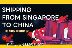 扫地机器人和飞利浦饮水机,从新加坡空运回国只需三步