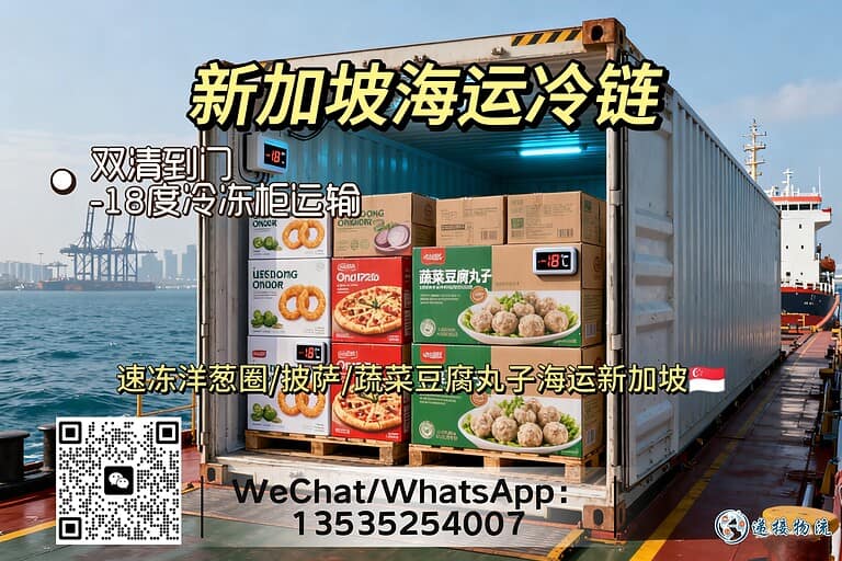 洋葱圈、披萨、蔬菜豆腐丸子怎么海运新加坡？专业冷冻柜拼箱服务