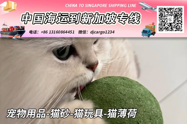 宠物用品-猫砂-猫玩具-猫薄荷海运整柜到新加坡