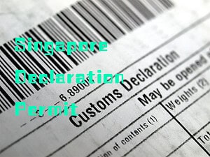 新加坡进口清关申请的permit种类,新加坡的准证种类,permit species 新加坡进口清关申请的permit种类,新加坡的准证种类,permit species