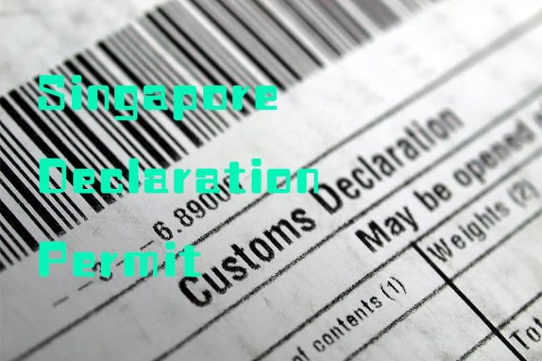 新加坡进口清关申请的permit种类,新加坡的准证种类,permit species 新加坡进口清关申请的permit种类,新加坡的准证种类,permit species