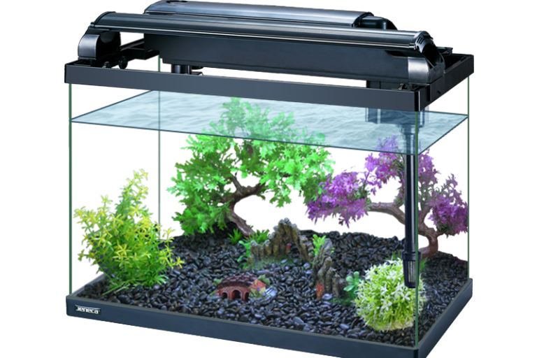 aquarium 水族缸，鱼缸